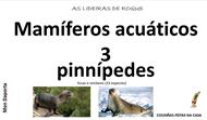 Mamíferos acuáticos (3), Pinnípedos